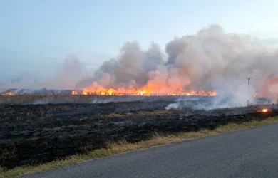 Importante incendio rural en la Ruta 55 afectó más de 700 hectáreas