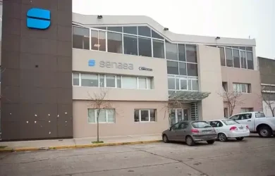 Senasa confirmó un caso de influenza aviar en aves de traspatio en Mar del Plata